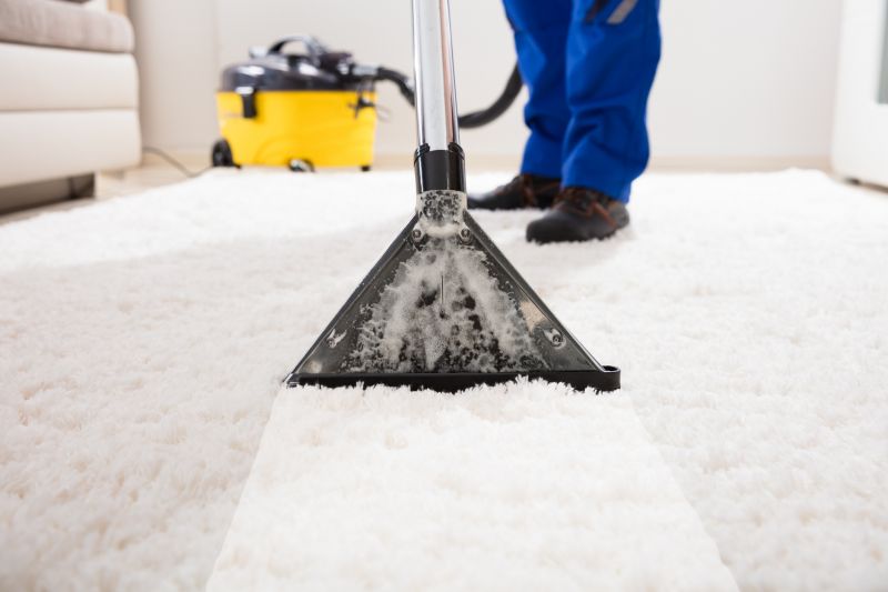 Carpet Deep Cleaning