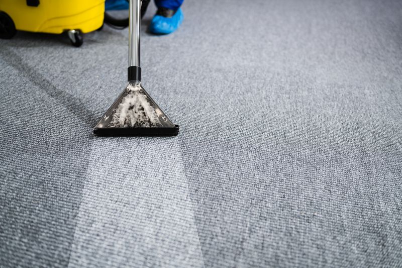 Eco-Friendly Carpet Cleaning Companies